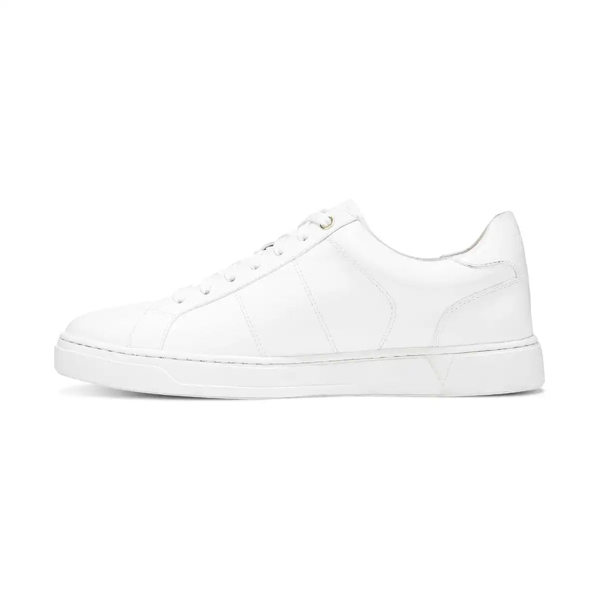 Lucas II Lace Up Sneaker