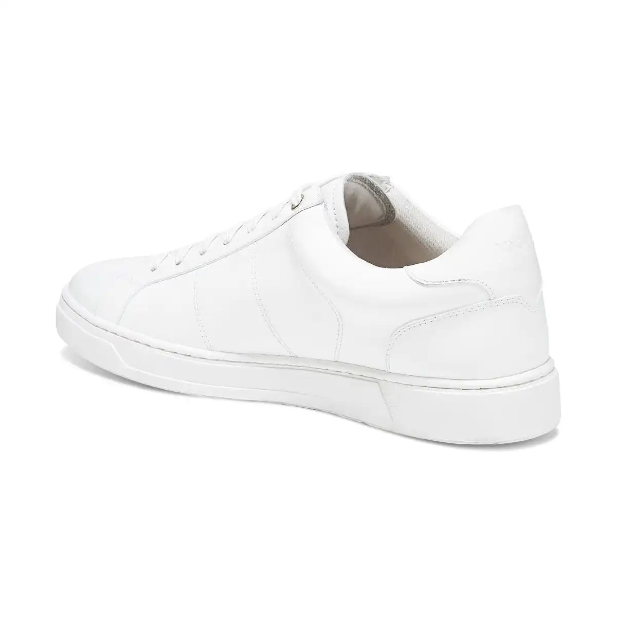 Lucas II Lace Up Sneaker